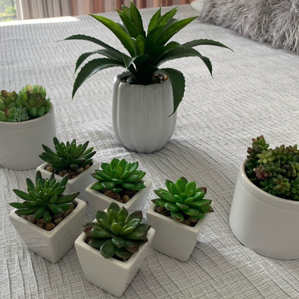 Faux succulents